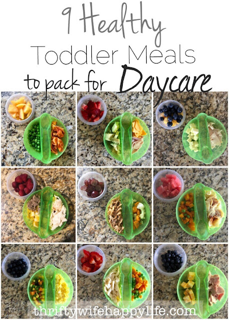 Thrifty Wife, Happy Life- 9 Healthy Toddler Meals to Pack for Daycare