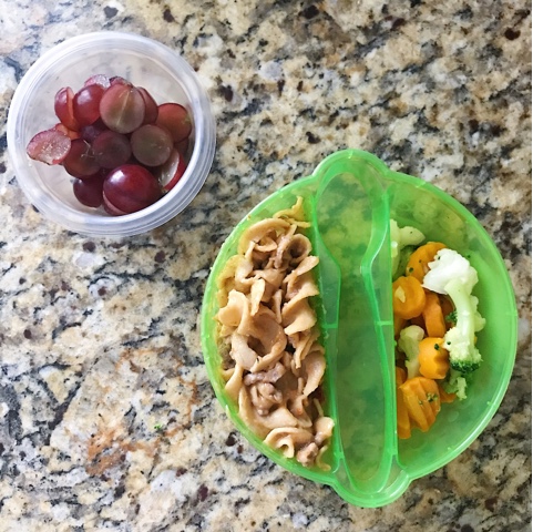 Thrifty Wife, Happy Life- 9 Healthy Toddler Meals to Pack for Daycare