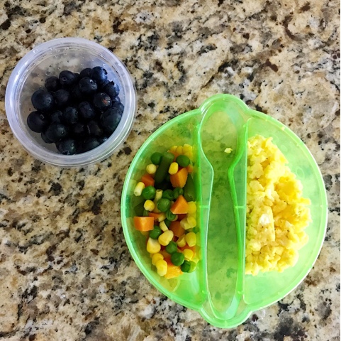 Thrifty Wife, Happy Life- 9 Healthy Toddler Meals to Pack for Daycare